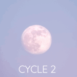 Cycle 2