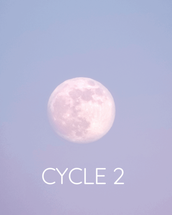 Cycle 2
