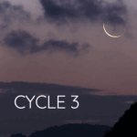 Cycle 3