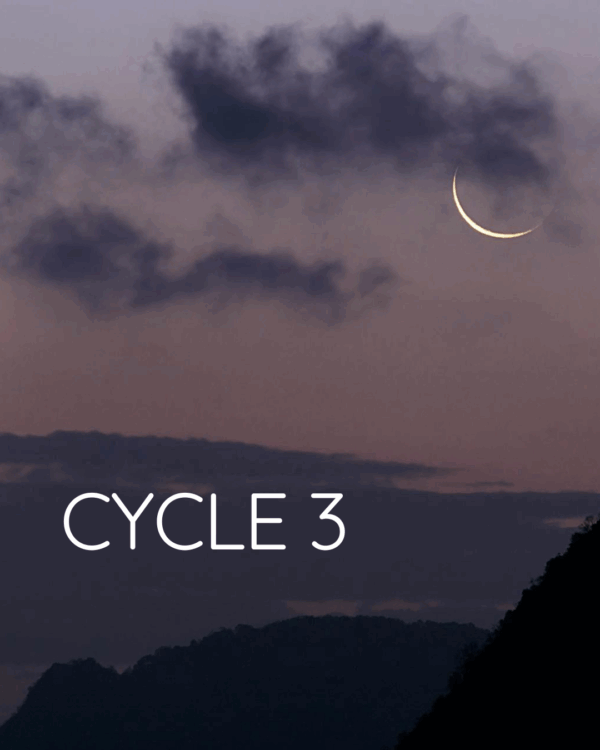 Cycle 3