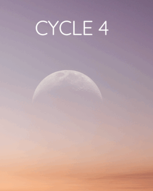 Cycle 4