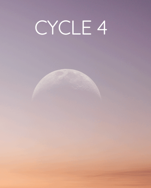 Cycle 4
