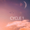 Cycle 1