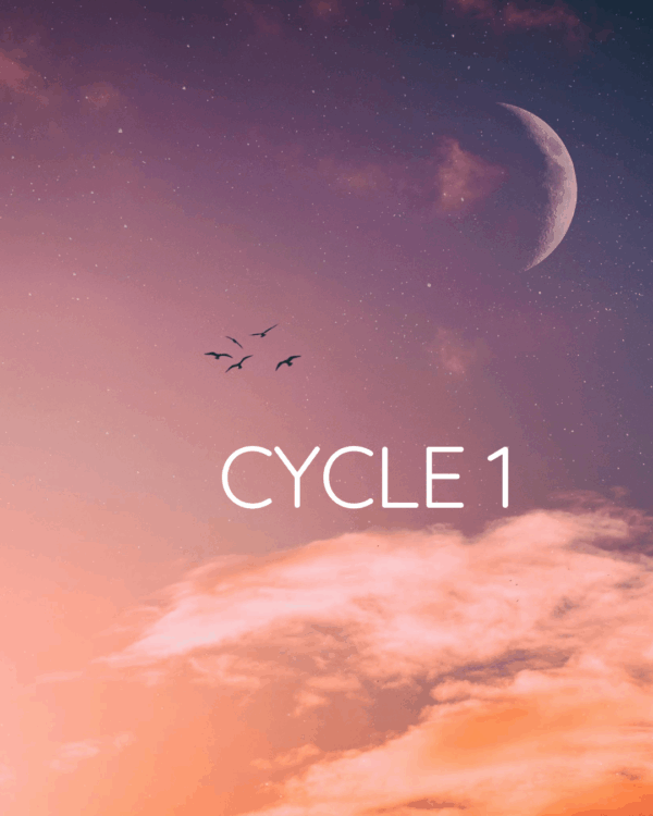 Cycle 1